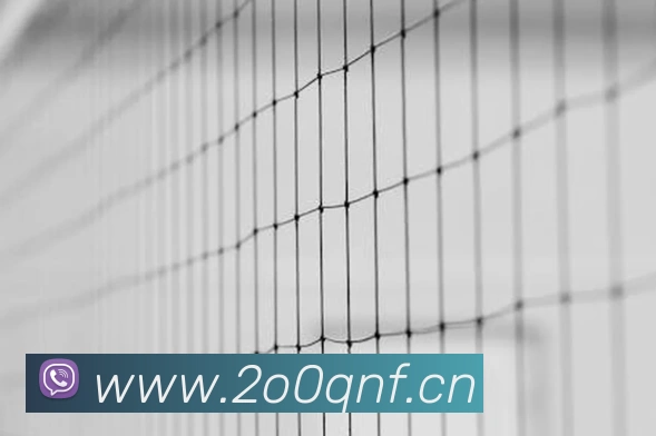 星空网官网免费入口平台生态图