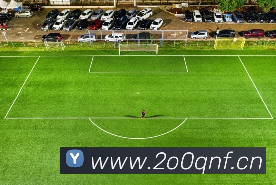 星空网官网免费入口APP 封面图